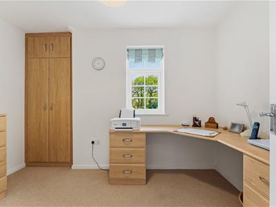 Picture 15